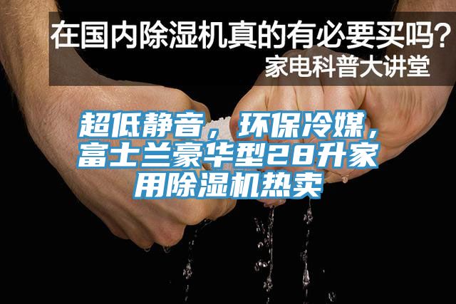 超低靜音，環(huán)保冷媒，富士蘭豪華型28升家用除濕機熱賣