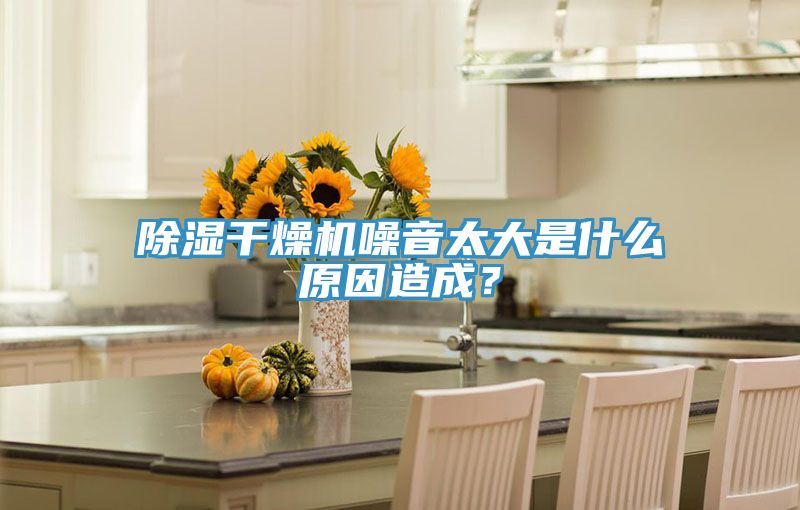 除濕干燥機(jī)噪音太大是什么原因造成？