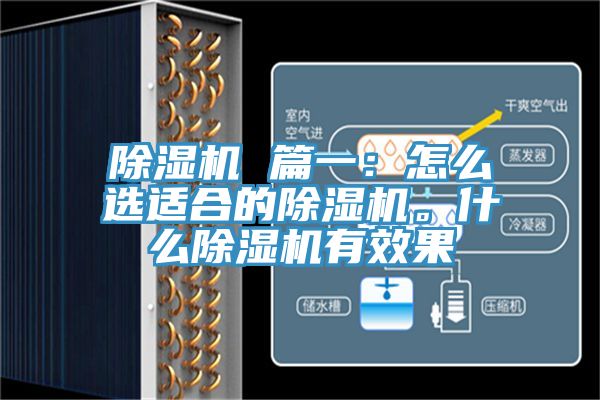 除濕機(jī) 篇一：怎么選適合的除濕機(jī)。什么除濕機(jī)有效果