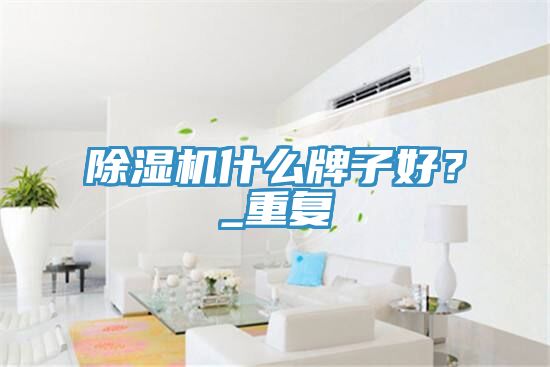 除濕機(jī)什么牌子好？_重復(fù)