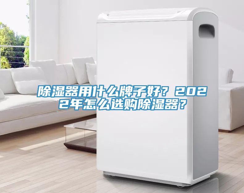 除濕器用什么牌子好？2022年怎么選購除濕器？