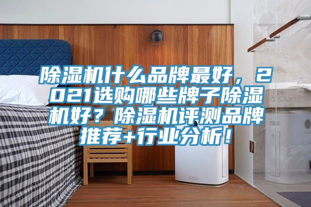 除濕機(jī)什么品牌最好，2021選購哪些牌子除濕機(jī)好？除濕機(jī)評測品牌推薦+行業(yè)分析！