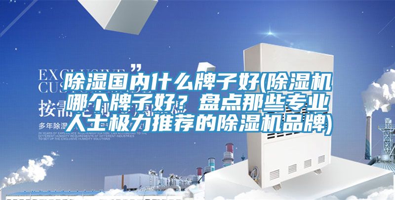 除濕國(guó)內(nèi)什么牌子好(除濕機(jī)哪個(gè)牌子好？盤(pán)點(diǎn)那些專(zhuān)業(yè)人士極力推薦的除濕機(jī)品牌)