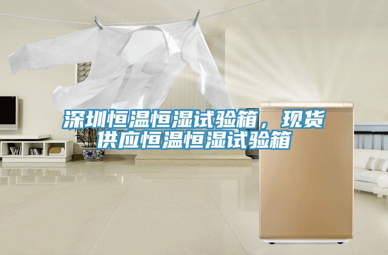 深圳恒溫恒濕試驗(yàn)箱，現(xiàn)貨供應(yīng)恒溫恒濕試驗(yàn)箱