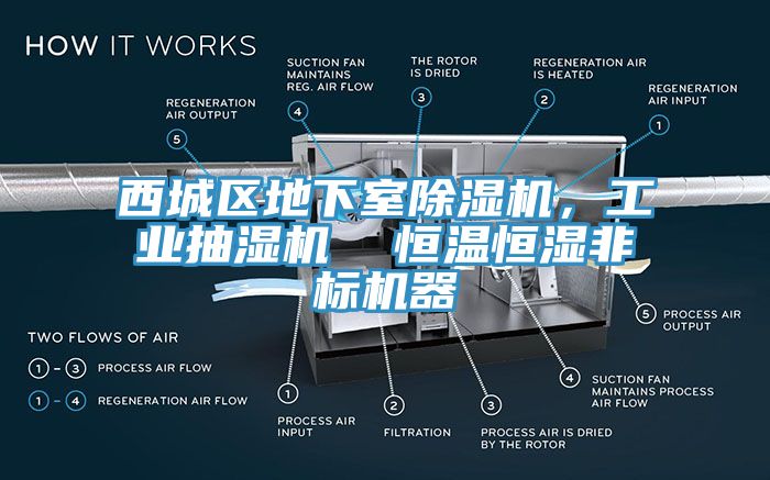 西城區(qū)地下室除濕機(jī)，工業(yè)抽濕機(jī)  恒溫恒濕非標(biāo)機(jī)器