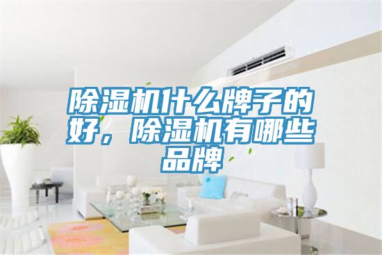 除濕機(jī)什么牌子的好，除濕機(jī)有哪些品牌