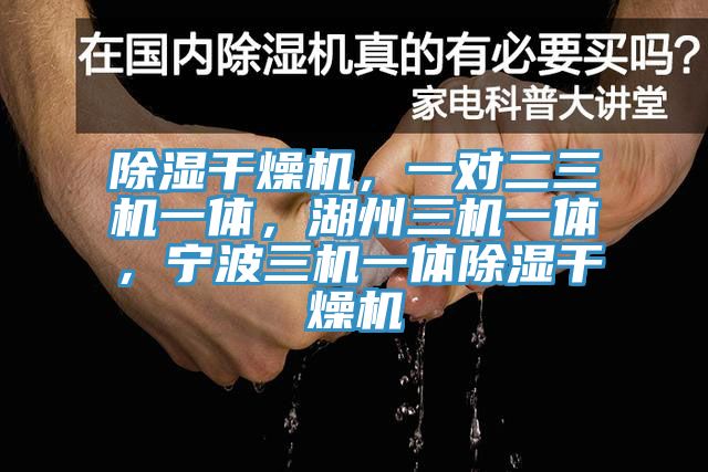 除濕干燥機(jī)，一對二三機(jī)一體，湖州三機(jī)一體，寧波三機(jī)一體除濕干燥機(jī)