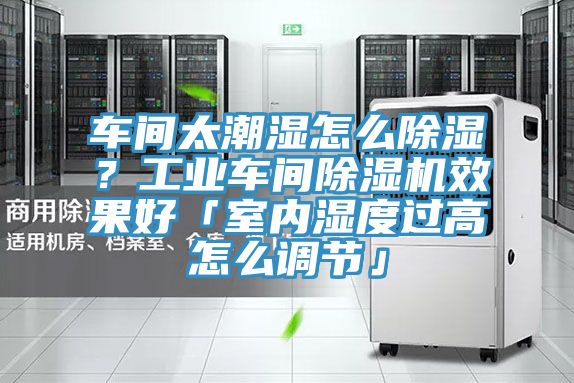 車間太潮濕怎么除濕？工業(yè)車間除濕機(jī)效果好「室內(nèi)濕度過高怎么調(diào)節(jié)」