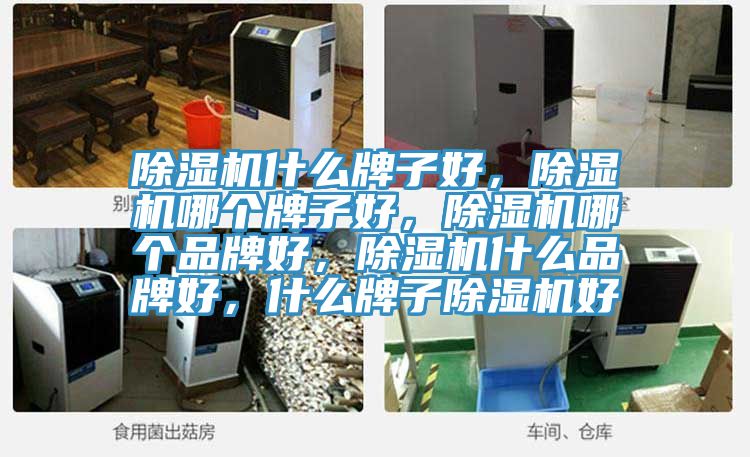 除濕機什么牌子好，除濕機哪個牌子好，除濕機哪個品牌好，除濕機什么品牌好，什么牌子除濕機好