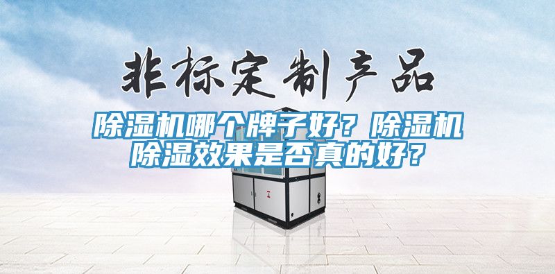 除濕機哪個牌子好？除濕機除濕效果是否真的好？