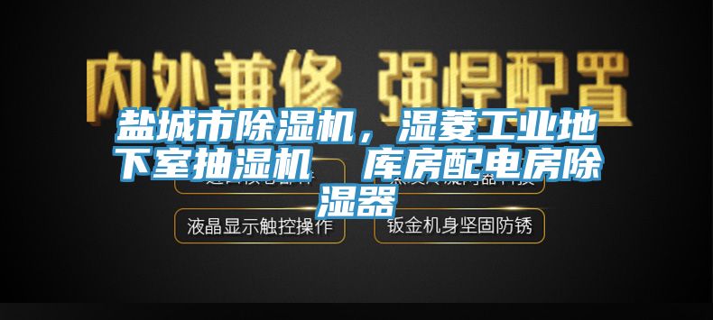 鹽城市除濕機(jī)，濕菱工業(yè)地下室抽濕機(jī)  庫房配電房除濕器