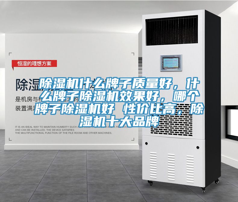 除濕機(jī)什么牌子質(zhì)量好，什么牌子除濕機(jī)效果好，哪個(gè)牌子除濕機(jī)好 性?xún)r(jià)比高，除濕機(jī)十大品牌