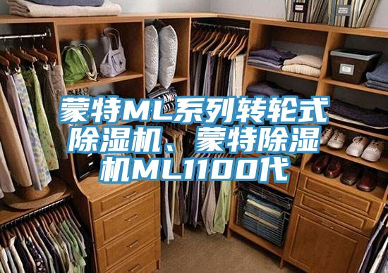 蒙特ML系列轉(zhuǎn)輪式除濕機、蒙特除濕機ML1100代