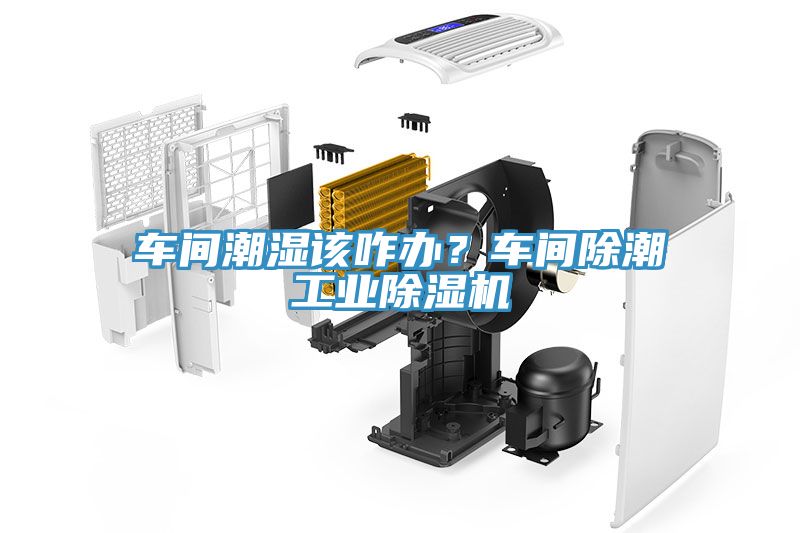 車間潮濕該咋辦？車間除潮工業(yè)除濕機(jī)