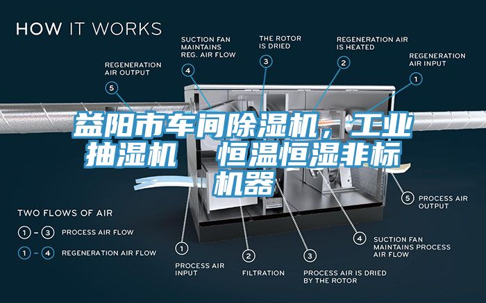 益陽市車間除濕機(jī)，工業(yè)抽濕機(jī)  恒溫恒濕非標(biāo)機(jī)器