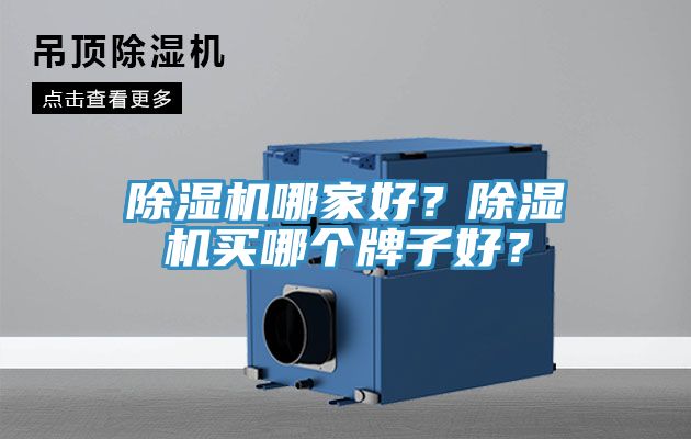 除濕機(jī)哪家好？除濕機(jī)買哪個(gè)牌子好？