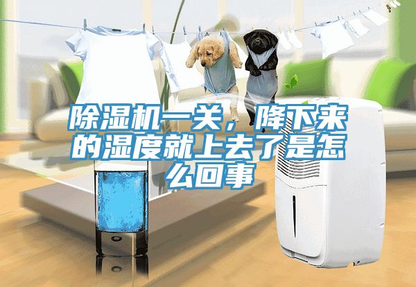除濕機(jī)一關(guān)，降下來的濕度就上去了是怎么回事