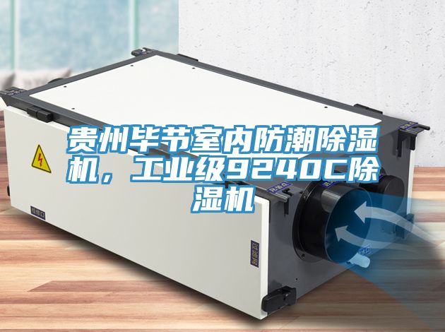 貴州畢節(jié)室內(nèi)防潮除濕機(jī)，工業(yè)級(jí)9240C除濕機(jī)