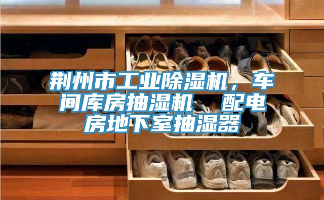 荊州市工業(yè)除濕機，車間庫房抽濕機  配電房地下室抽濕器