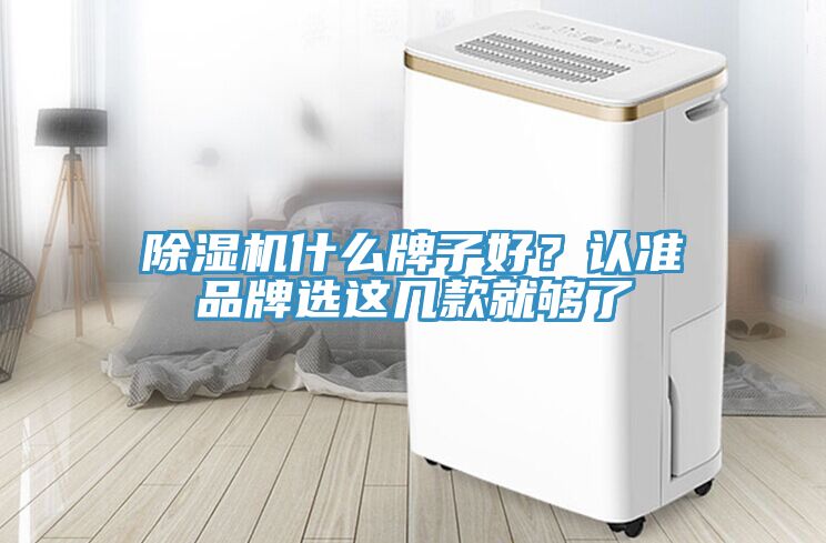 除濕機(jī)什么牌子好？認(rèn)準(zhǔn)品牌選這幾款就夠了