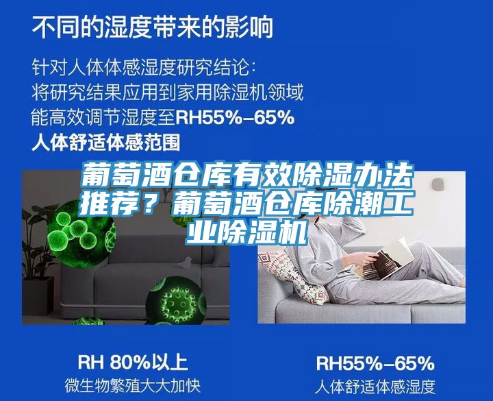 葡萄酒倉庫有效除濕辦法推薦？葡萄酒倉庫除潮工業(yè)除濕機