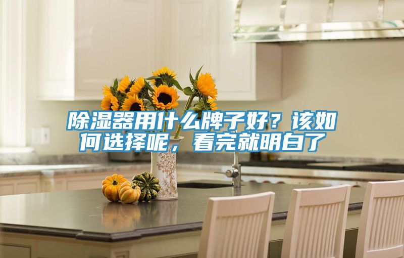 除濕器用什么牌子好？該如何選擇呢，看完就明白了