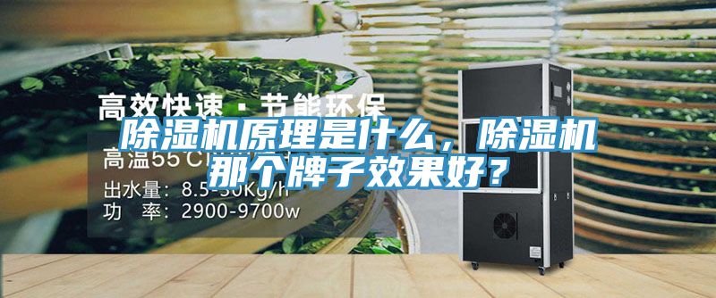 除濕機(jī)原理是什么，除濕機(jī)那個(gè)牌子效果好？