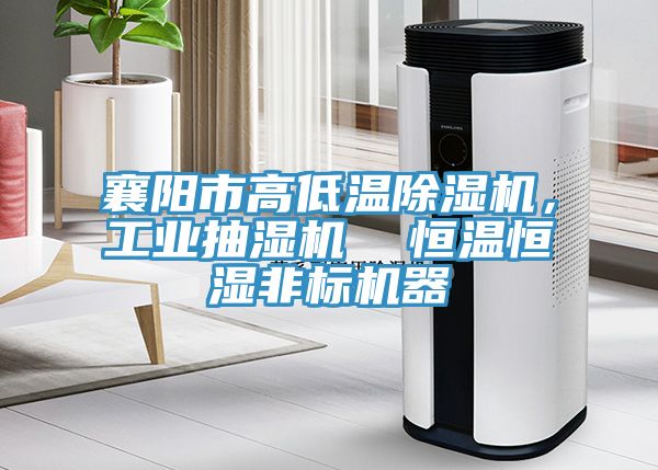 襄陽市高低溫除濕機(jī)，工業(yè)抽濕機(jī)  恒溫恒濕非標(biāo)機(jī)器