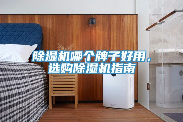 除濕機(jī)哪個(gè)牌子好用，選購除濕機(jī)指南