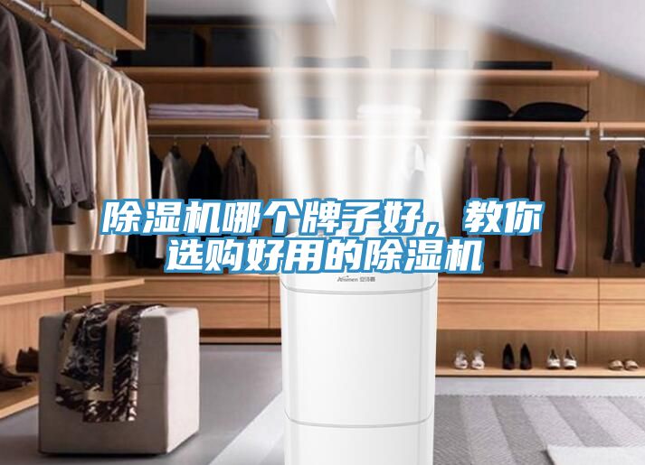 除濕機(jī)哪個(gè)牌子好，教你選購(gòu)好用的除濕機(jī)