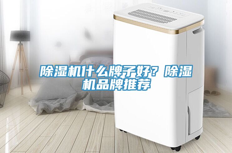 除濕機(jī)什么牌子好？除濕機(jī)品牌推薦