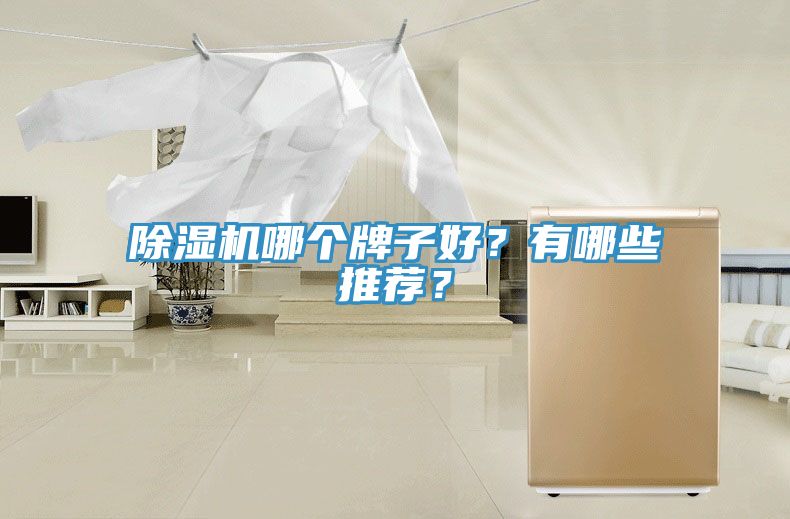 除濕機(jī)哪個(gè)牌子好？有哪些推薦？