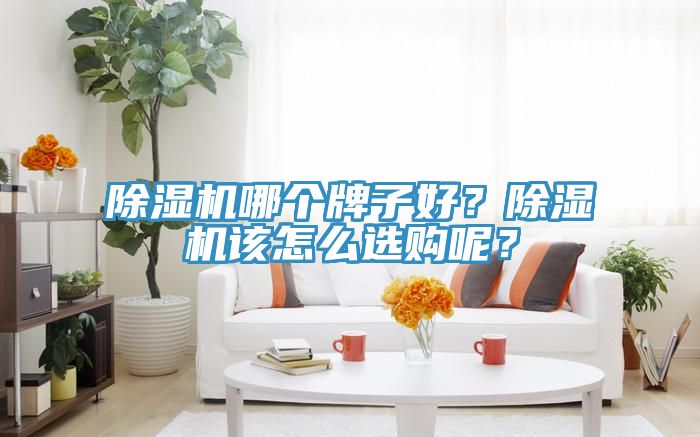 除濕機哪個牌子好？除濕機該怎么選購呢？