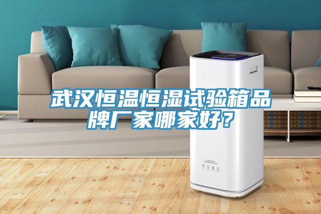 武漢恒溫恒濕試驗箱品牌廠家哪家好？
