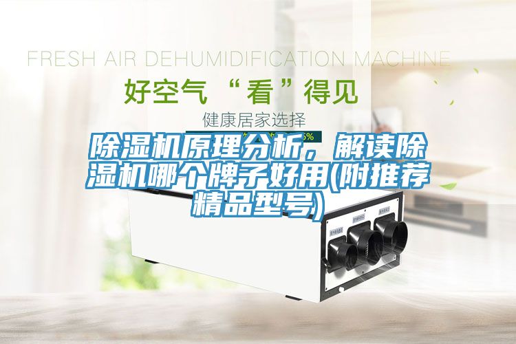 除濕機原理分析，解讀除濕機哪個牌子好用(附推薦精品型號)