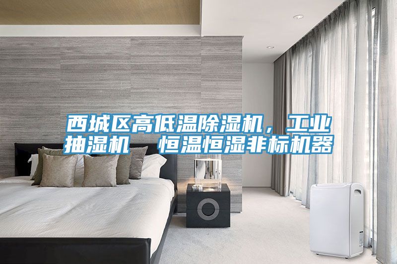 西城區(qū)高低溫除濕機(jī)，工業(yè)抽濕機(jī)  恒溫恒濕非標(biāo)機(jī)器