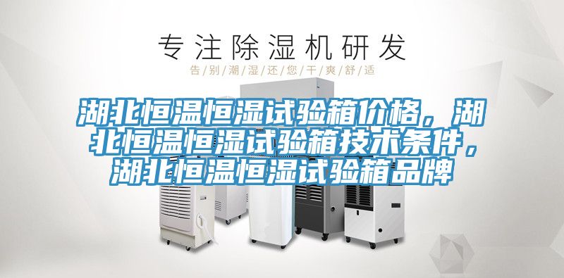湖北恒溫恒濕試驗箱價格，湖北恒溫恒濕試驗箱技術(shù)條件，湖北恒溫恒濕試驗箱品牌