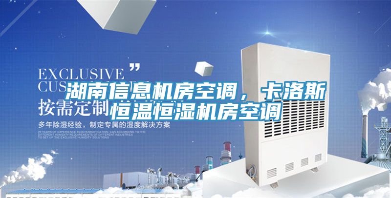 湖南信息機房空調(diào)，卡洛斯恒溫恒濕機房空調(diào)