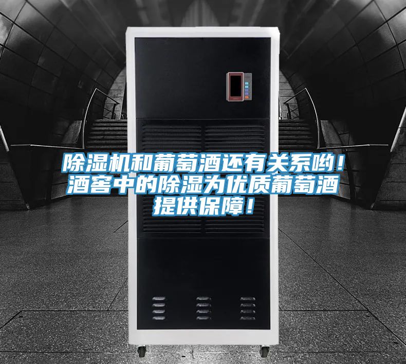 除濕機(jī)和葡萄酒還有關(guān)系喲！酒窖中的除濕為優(yōu)質(zhì)葡萄酒提供保障！