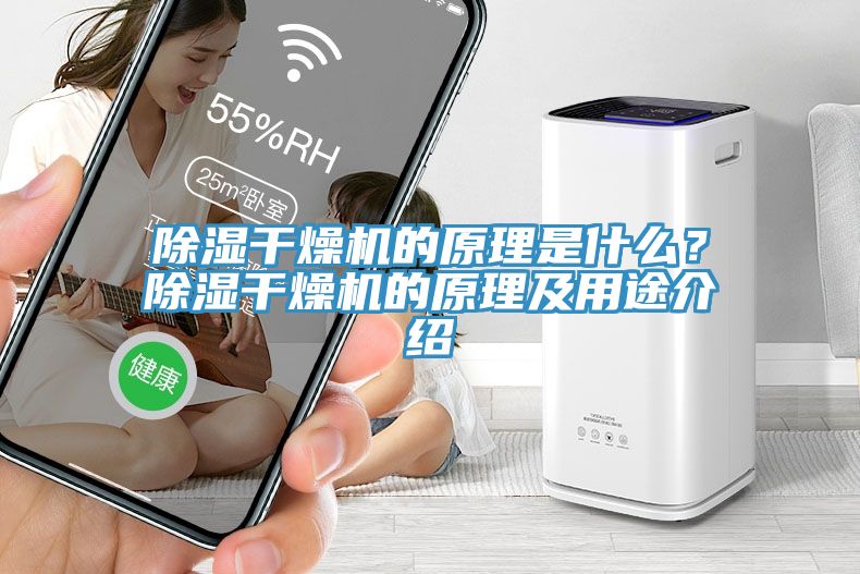 除濕干燥機(jī)的原理是什么？除濕干燥機(jī)的原理及用途介紹