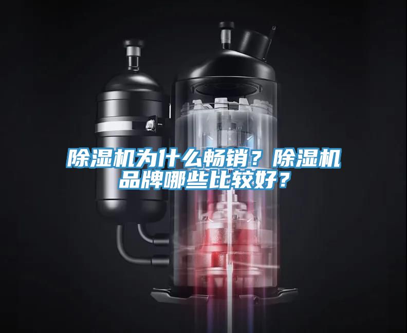 除濕機為什么暢銷？除濕機品牌哪些比較好？