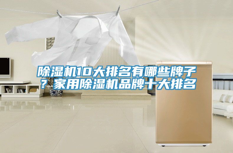 除濕機(jī)10大排名有哪些牌子？家用除濕機(jī)品牌十大排名