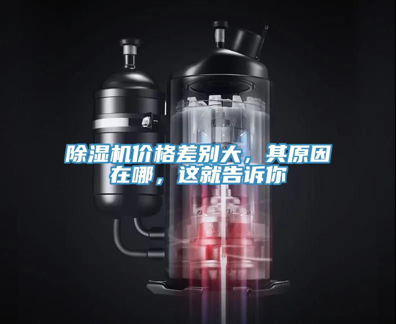 除濕機(jī)價格差別大，其原因在哪，這就告訴你