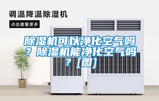 除濕機可以凈化空氣嗎？除濕機能凈化空氣嗎？[圖]