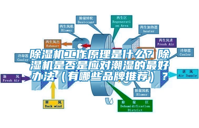 除濕機(jī)工作原理是什么？除濕機(jī)是否是應(yīng)對(duì)潮濕的最好辦法（有哪些品牌推薦）？