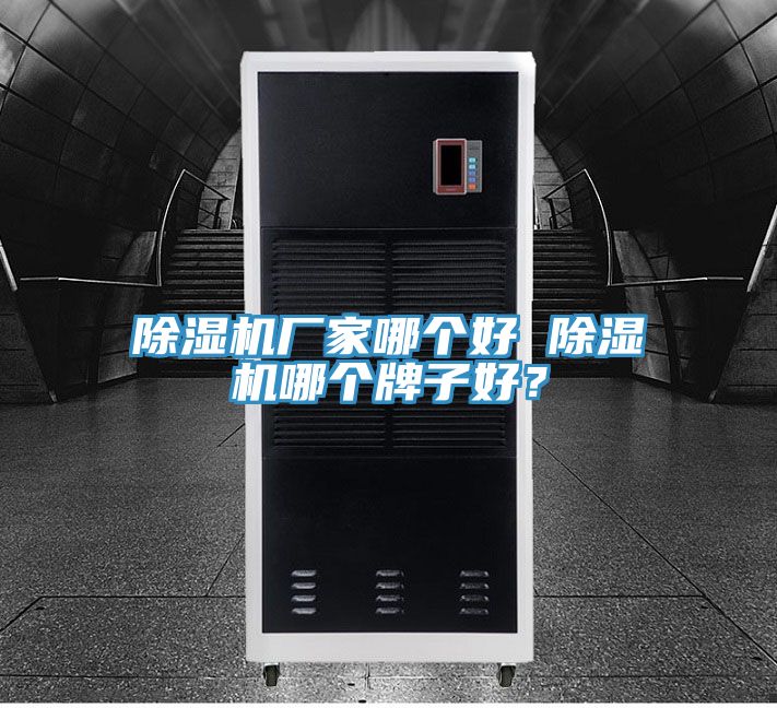 除濕機(jī)廠家哪個(gè)好 除濕機(jī)哪個(gè)牌子好？