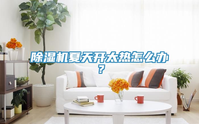 除濕機夏天開太熱怎么辦？