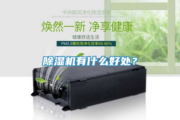 除濕機有什么好處？