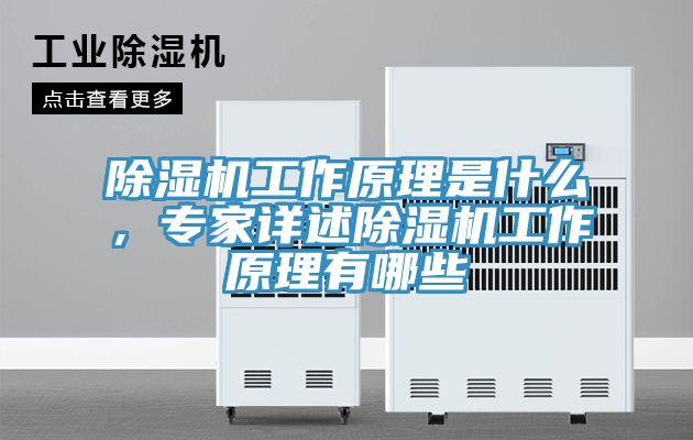 除濕機(jī)工作原理是什么，專家詳述除濕機(jī)工作原理有哪些