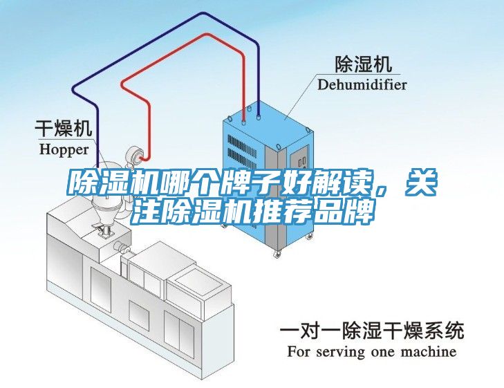 除濕機哪個牌子好解讀，關注除濕機推薦品牌
